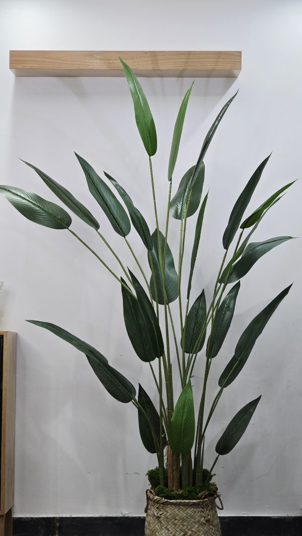 درختچه مصنوعی پرنده بهشتی (۲۶) برگ(زیبای خفته) - تصویر 2