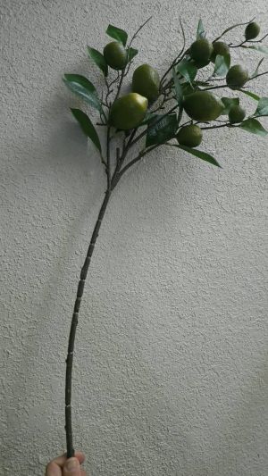 شاخه لیموسبز