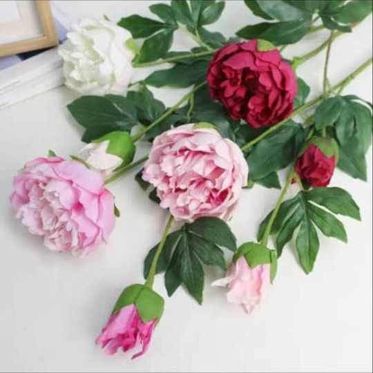 گل پیونی لمسی