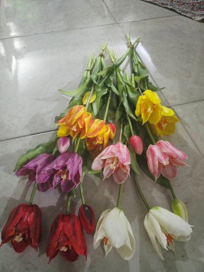 دسته لاله سه تایی لمسی