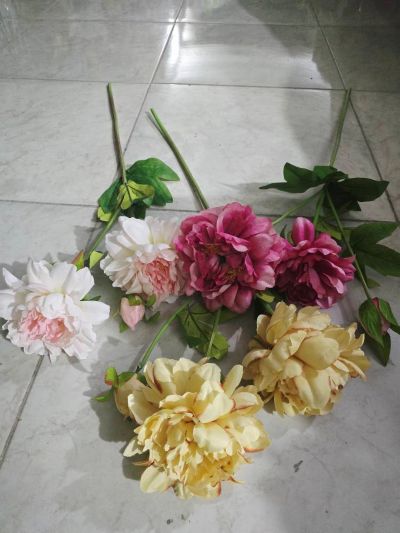 گل پیونی دوگل ویک غنچه