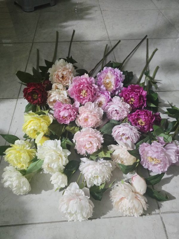 گل سوسن دوگل ویک غنچه