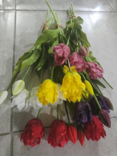 دسته لاله ۵تایی لمسی