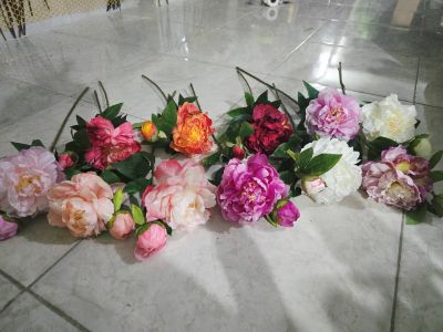 گل پیونی یک‌گل یک غنچه