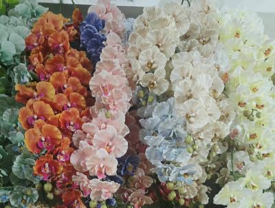 گل ارکیده لمسی پروانه ای