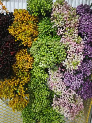 دسته میوه۳تایی توت وحشی