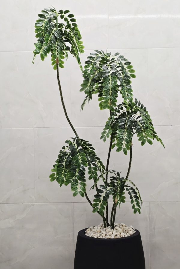 درختچه مصنوعی پول ۵ سر