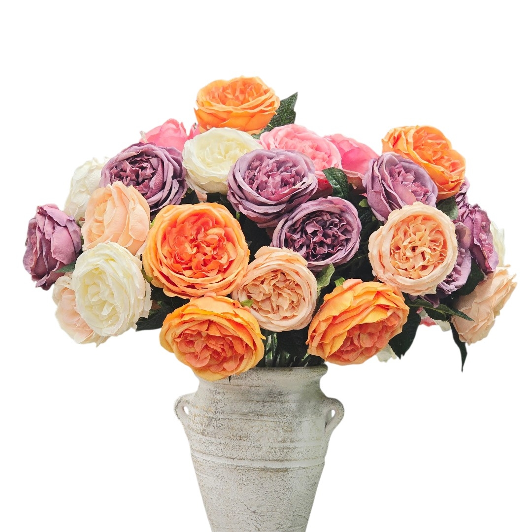 گل رز صدتومانی