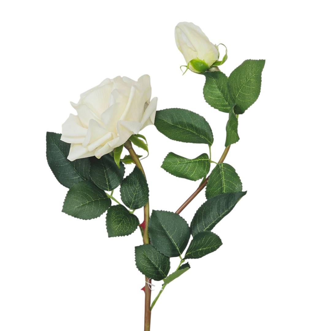 گل رز لمسی یک گل ویک غنچه